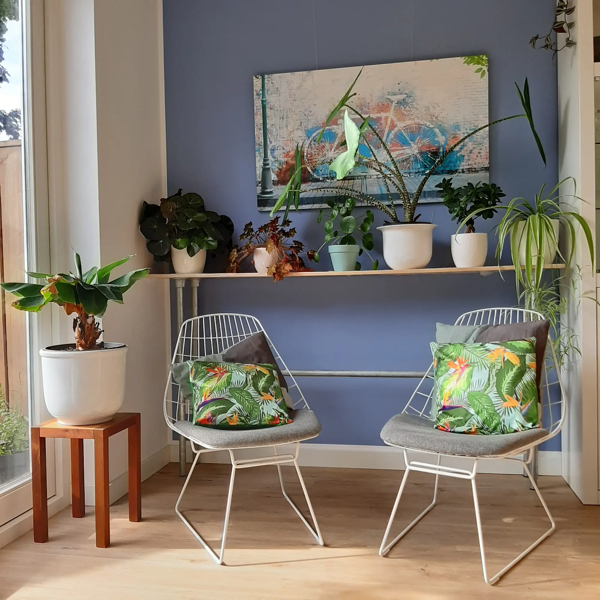 Resultaat van een kleuradvies waar is gekozen voor de kleur blauwpaars wat erg mooi staat bij de stoelen, planten en het schilderij op deze foto.